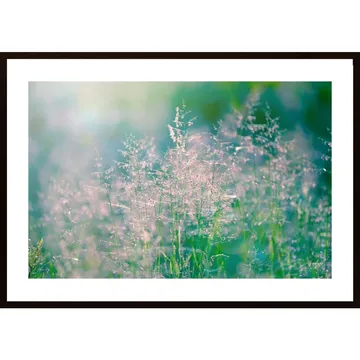 Meadow In Morning Light 2 Poster: Vacker natur och fortlevande kvalitet