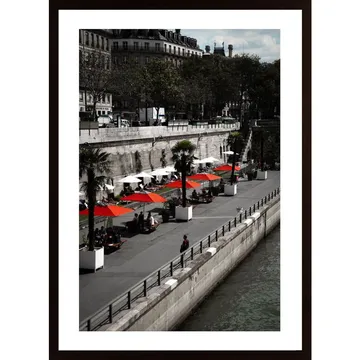 Sunbathing In Paris Poster