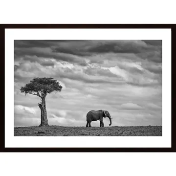 Elephant Landscape Poster: En konstnärlig skildring av Afrikas vilda skönhet