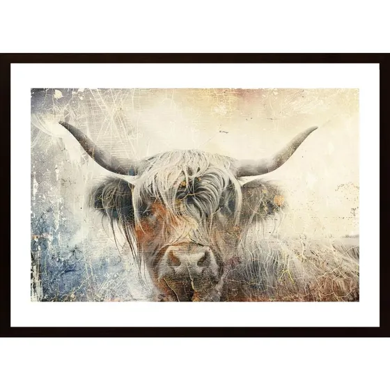 Cow Highland Illustration Art 01 Poster