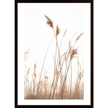 Marsh Grass No6 Poster