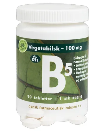 Berthelsen Naturprodukter - B5 100mg: Optimal tillförsel av vitamin B5 för energi och fokus