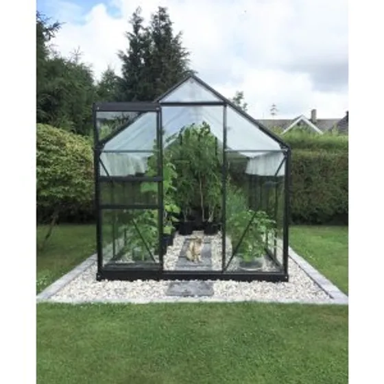 Växthus 6,2m² - Härdat glas - Svart