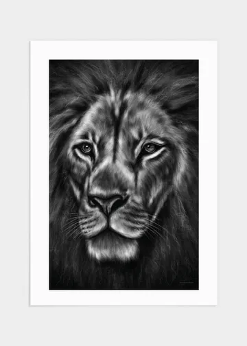 Lion portrait poster 70x100 - Ett mäktigt motiv