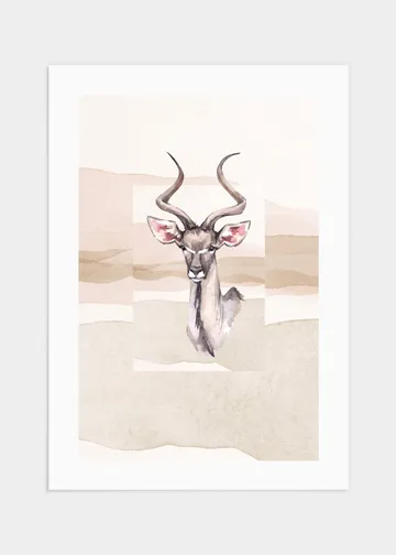 Antelope poster - 50x70: Ett ståtligt porträtt