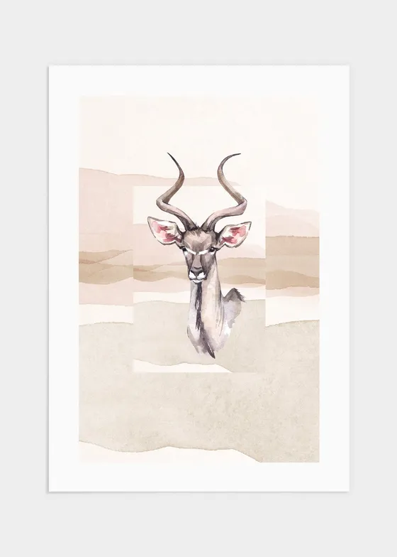 Antelope poster - 50x70