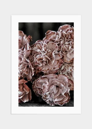 Carnation poster - 70x100: Tillför en vårokänsla till ditt hem