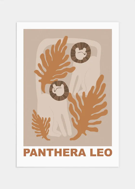 Panthera leo poster - 50x70
