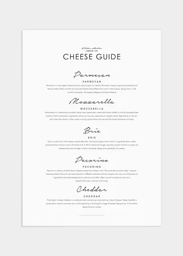 Cheese guide poster - 70x100: Kunskap och inspiration till alla ostälskare