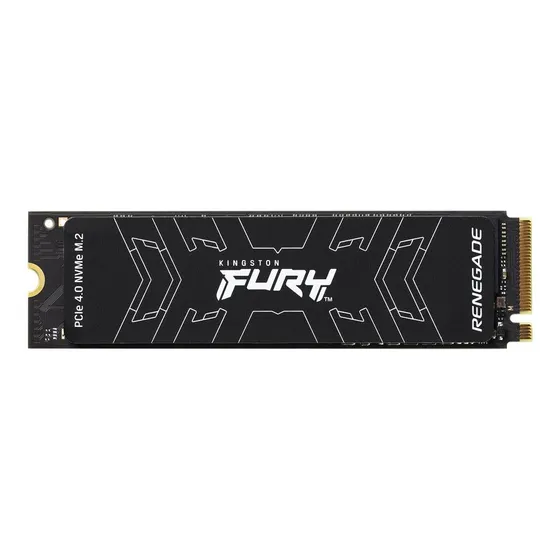 Kingston Fury Renegade M.2 500GB SSD