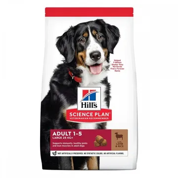 Hill's Science Plan Dog Adult Large Lamb & Rice 14 kg: Starka leder, muskeluppbyggnad & frisk hud