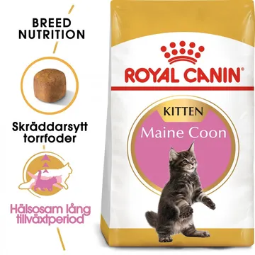 Royal Canin Maine Coon Kitten - för din växande kattunge
