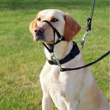 Trixie Top Trainer Nossele (S): Effektiv Koppelträning för Din Hund