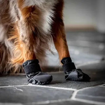 Back On Track Koda Hundskor (S): Inomhustassar som Förbättrar Hundens Komfort