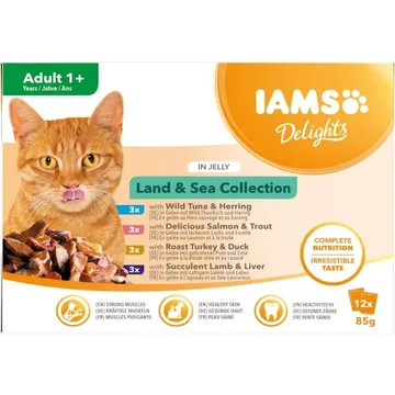 Iams Delights in jelly Multipack Land & Sea: En Läckerbit för Din Katt