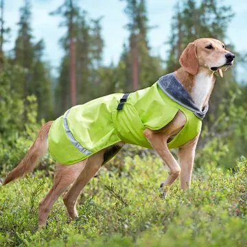 Pomppa Kevyt Regnjacka för Hundar i Grönt (28 cm): Ett Säkert Val i Regn och Vind