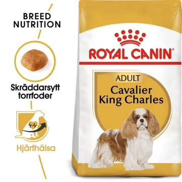 Royal Canin Cavalier King Charles Adult (1,5 kg): Mat för alla hj&auml;rtans hj&auml;ltar