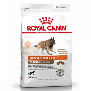 Royal Canin, det energifyllda högenergifodret för aktiva hundar