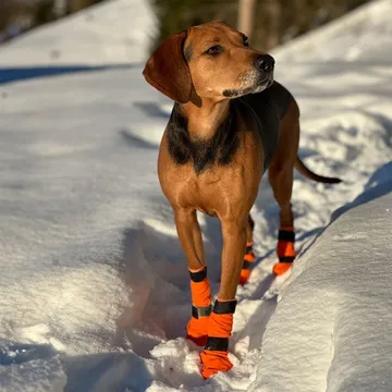 Non-Stop Dogwear Contact Bootie Hög Hundsko: Skydda Hundens Tassar Under Vintern