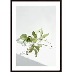 Green Plant 2 Poster