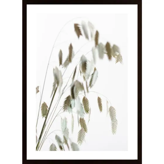 Dried Grass Natural Poster