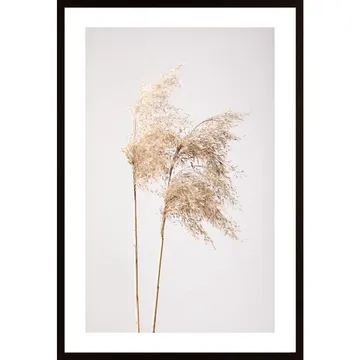 Reed Grass Grå 02: Vackra botaniska affischer för alla hem