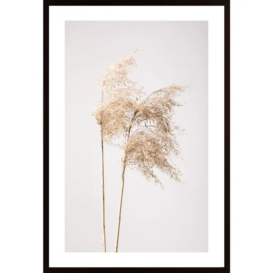 Reed Grass Grey 02 Poster