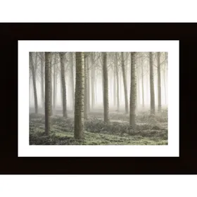 Small Woodland Poster