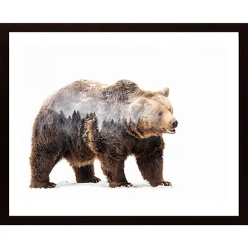 Bear Poster: Upptäck Skogens Konung i Ditt Hem