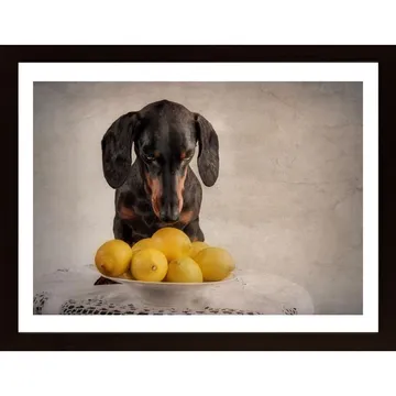 When Life Gives You Lemons Poster - En fräsch och upplyftande inredning som aldrig bleknar