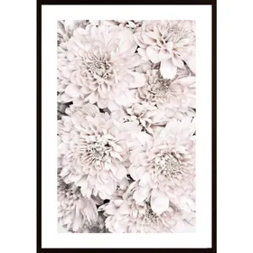 Chrysanthemum No 09 Poster