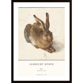 The Hare Poster