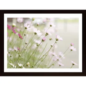Pink Flowerbed Poster