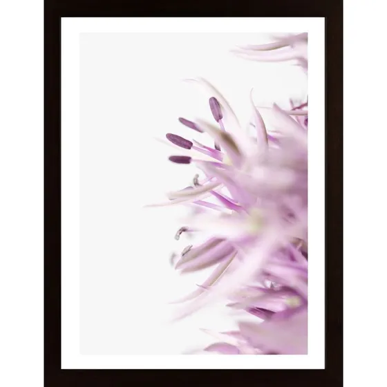 Flower Purple Poster