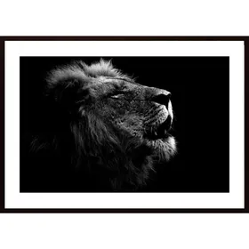 Roaring Lion Poster