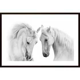 Two White Beautiful Horses Poster