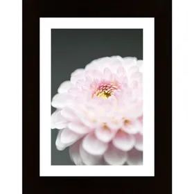 Pink Flower No1 Poster