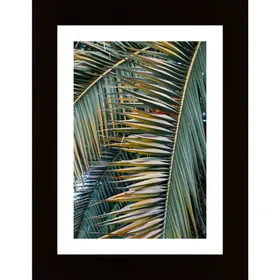 Yellow Green Palm Poster