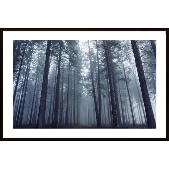 Mysterious Foggy Forest Poster