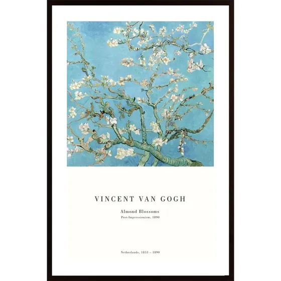 Almond Blossoms Poster