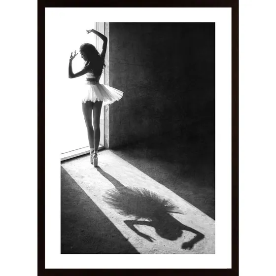Shadow Dance Poster