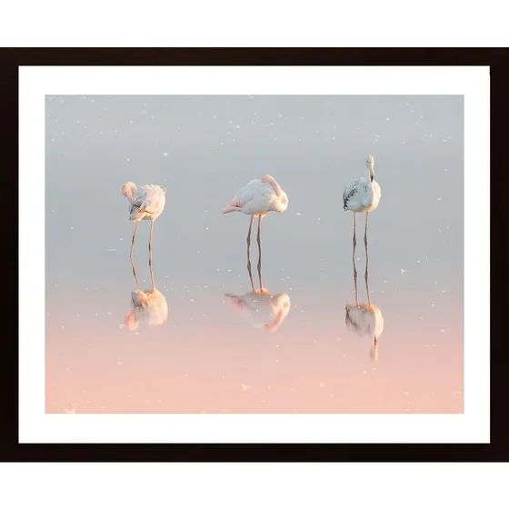 Three Flamingos Poster