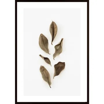 Dried Leaves 2 Poster: Naturlig skönhet ramas in