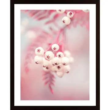 Berries On A Twig No2 Poster: En fröjdefull tolkning av naturen