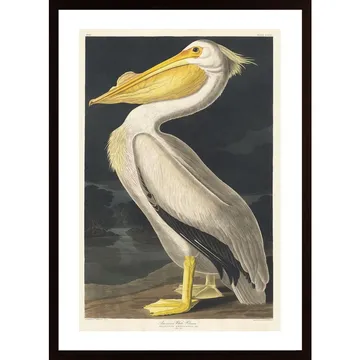 White Pelican Poster: En vintagetavla med klassisk charm