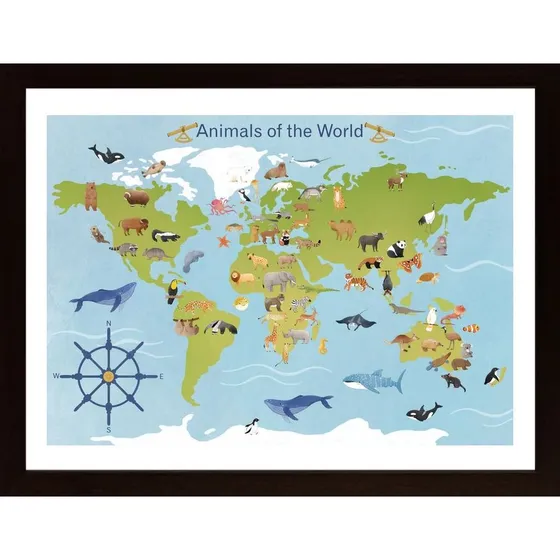 Animals Of The World Poster