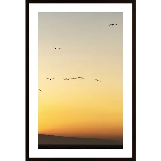 Birds In Sunset Poster