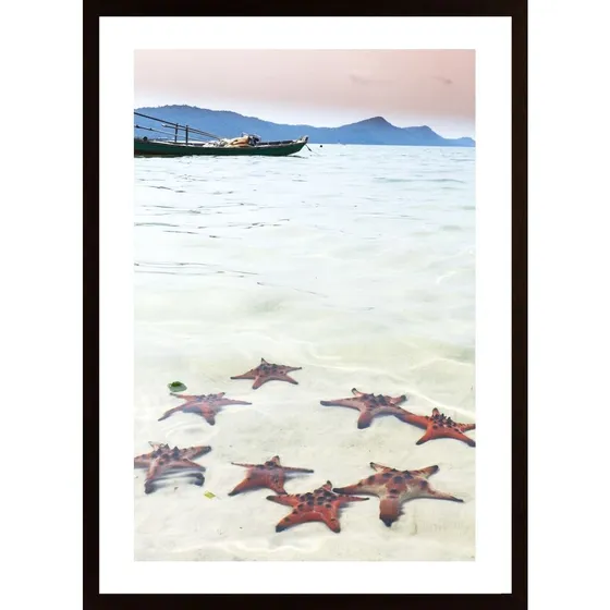 Tropical Starfish Beach Poster