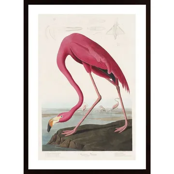 Pink Flamingo Poster: En färgglad och retro inredningsdetalj