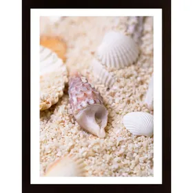 Seashell In Sand 2 Poster